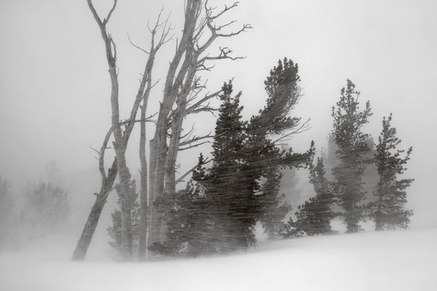 A fierce storm encompasses trees near the Clark Lakes.