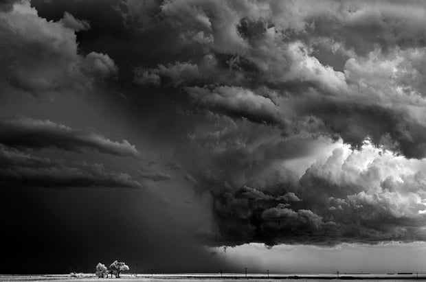 Mitch Dobrowner_Trees-Clouds