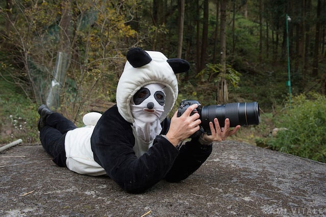 Later, we all dressed as pandas so we could get behind-the-scenes access to the panda training center where they train captive-born pandas to go back into the wild.