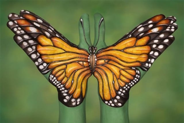 Monarch-Buttefly-mail-509x340