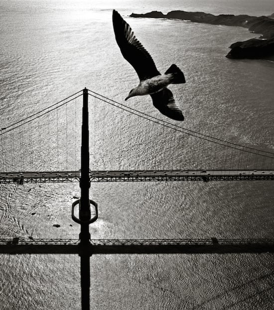 Aerial view of San Francisco Bay Bridge 1002486