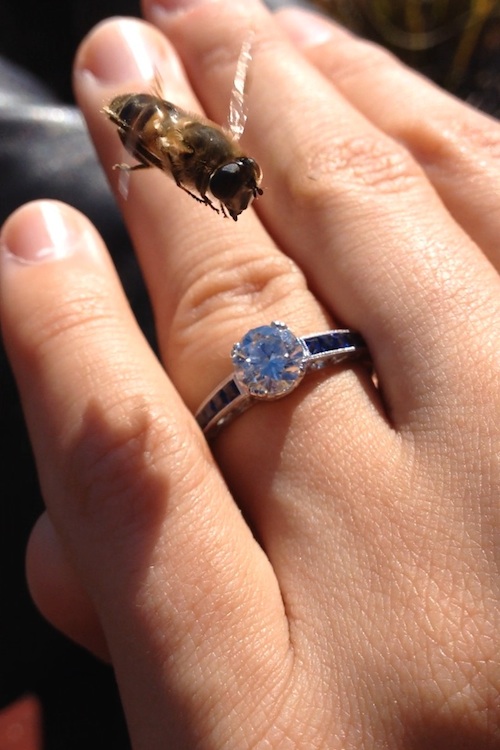 Show me your Sapphire rings!
