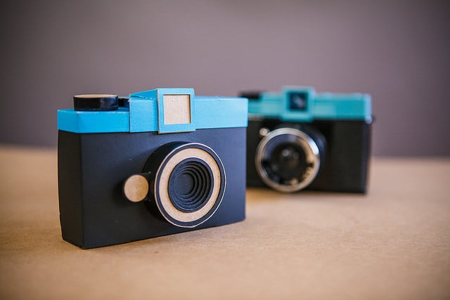 diana pinhole camera