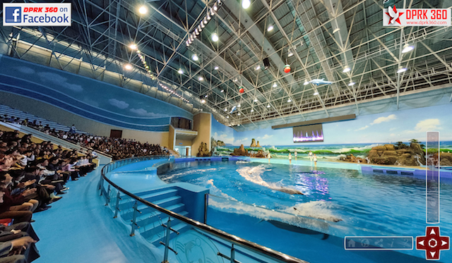 The Rungna Dolphinarium. This is where the guide took him when he asked if they had anything like 'sea world.'