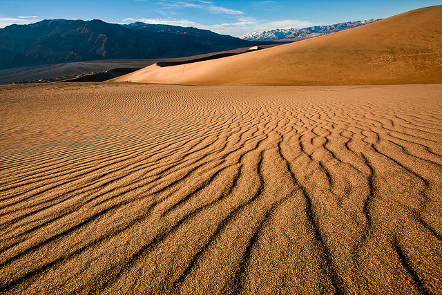 sanddunes