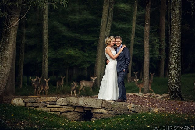 weddingdeer