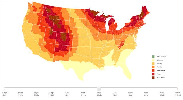 Interactive and Predictive Fall Foliage Map Will Help You Find the