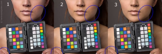 Adobe DNG camera profiles: subtle differences in skin colors and skin brightness, as visible within the blue circles
