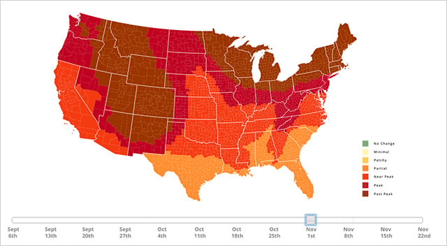 Fall Foliage Map