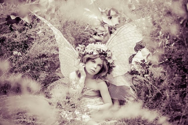 Alice as a Fairy
