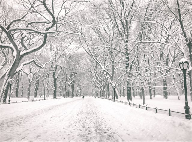 Central Park Winter - Poet's Walk - New York City