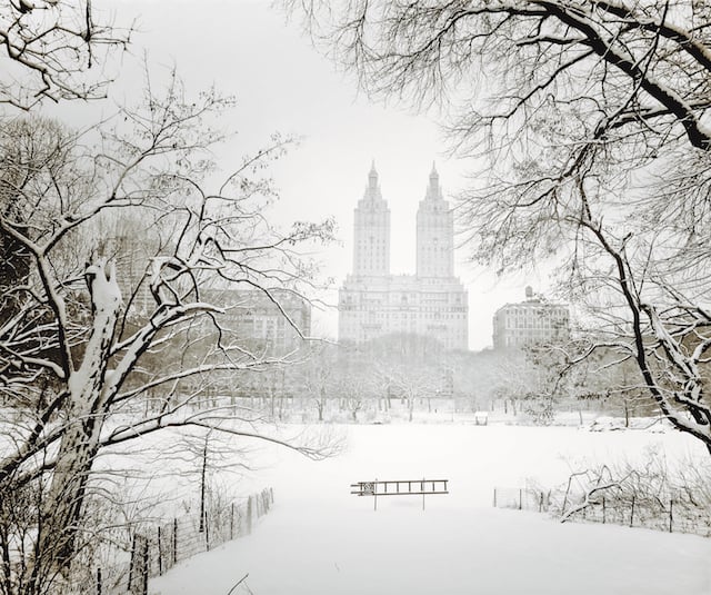 Central Park Winter - San Remo Through Trees - New York City