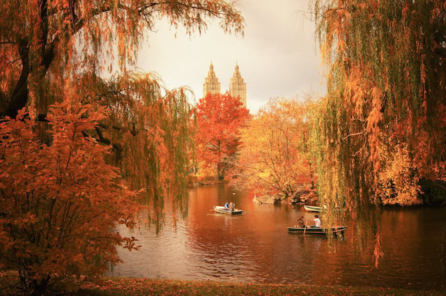 New York Autumn - Central Park Fall Colors at The Lake