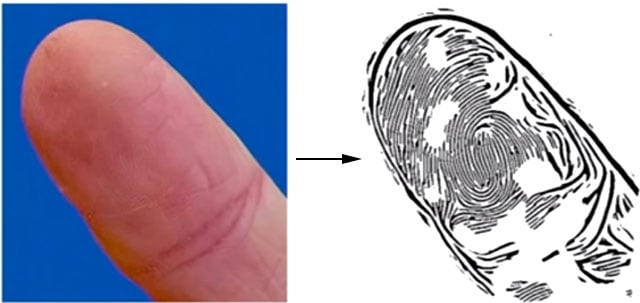 fingerprint