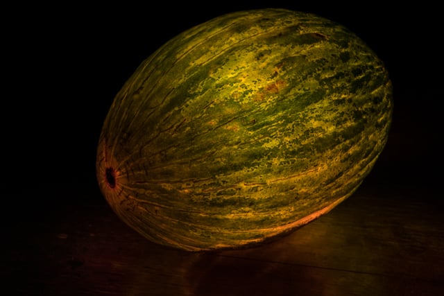 Christmas Melon