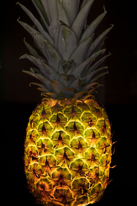 Pineapple