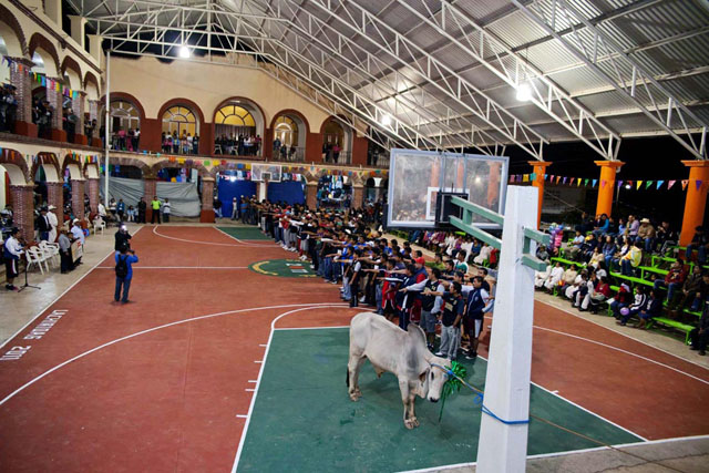 The opening ceremony for the tournament in San Cristobal Lachirioag in 2012. The bull is the Second Place prize for the tournament.