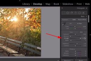 Use This Lightroom 'Secret Slider' Trick for Extreme Shadow Recovery ...