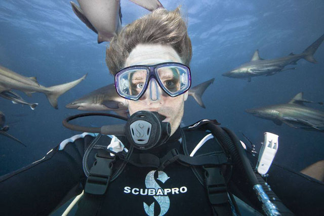 sharkselfie5