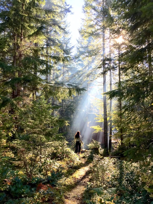 Shot by Cory S. in Lake Cushman, WA. The presence of human subjects in a natural setting like this forest creates a more relatable sense of scale and emphasizes the height of other elements in the photo.