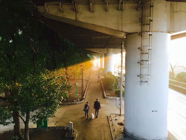 Shot by Jun I. in Tokyo, Japan. Capturing opposing subjects together, like the manmade overpass and the natural element provided by the trees in this photo, helps create a compelling contrast.