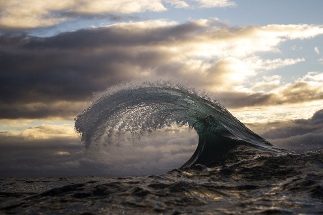 The Claw - Ray Collins