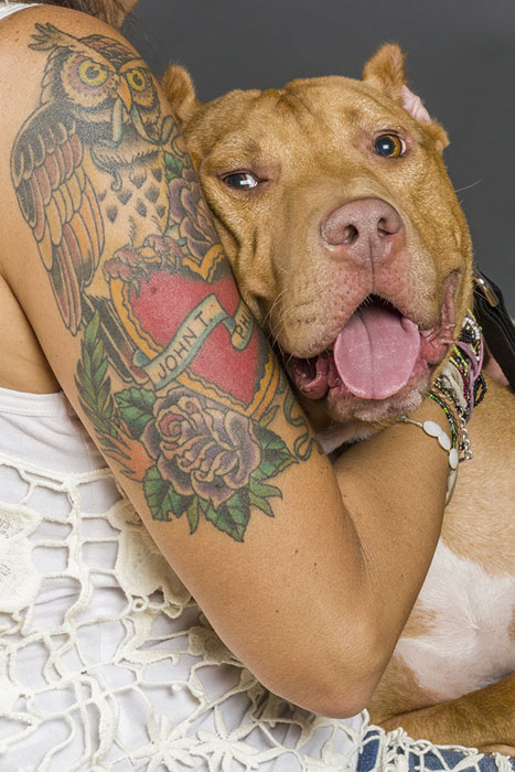 BrianBatistaPhotography-20120930-TattoosAndRescues-Sarge-2
