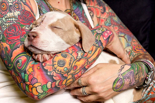 BrianBatistaPhotography-20130120-TattoosAndRescues-Major-2