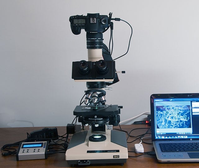 One of Gledhill's camera setups featuring the StackShot focusing system.