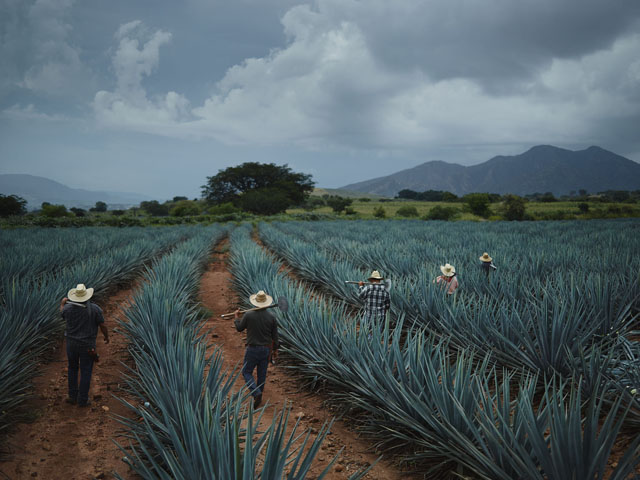 Joey_L_Photographer_Jose_Cuervo_Campaign_Tequila_Mexico_005