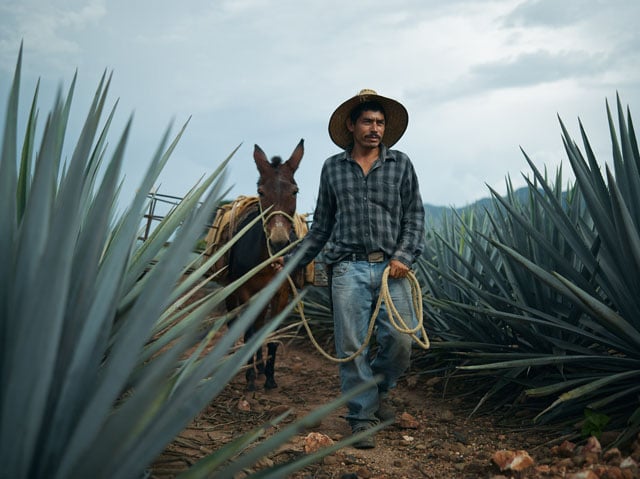 Joey_L_Photographer_Jose_Cuervo_Campaign_Tequila_Mexico_006b