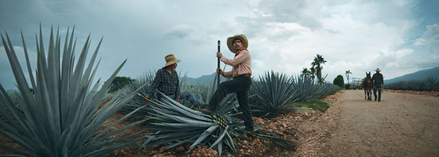 Joey_L_Photographer_Jose_Cuervo_Campaign_Tequila_Mexico_007