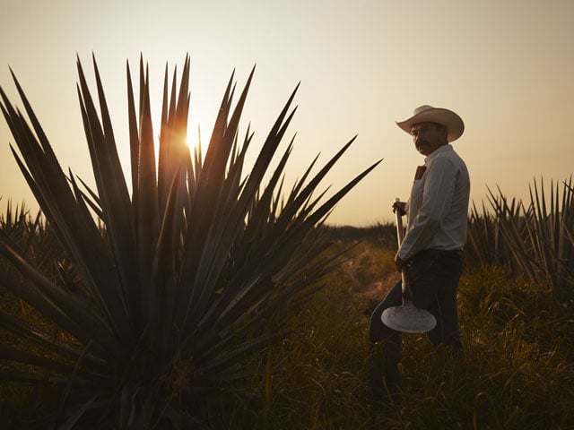 Joey_L_Photographer_Jose_Cuervo_Campaign_Tequila_Mexico_008