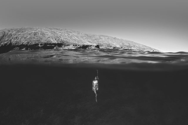 Maui-Underwater-Photographers-13