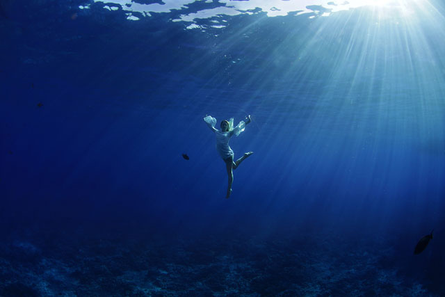 Maui-Underwater-Photographers-17