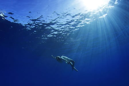 Underwater Wedding Portraits Off the Coast of Maui | PetaPixel