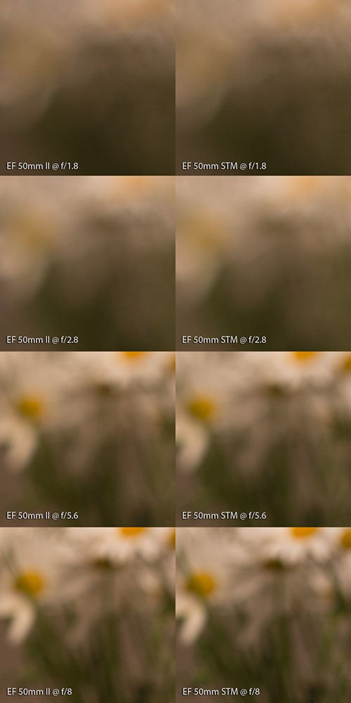 Battle of the Nifty Fifties: Canon's 50mm f/1.8 Lenses | PetaPixel