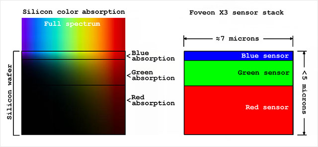 Absorption-X3 copy