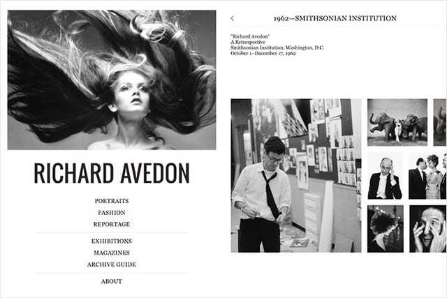 avedon1