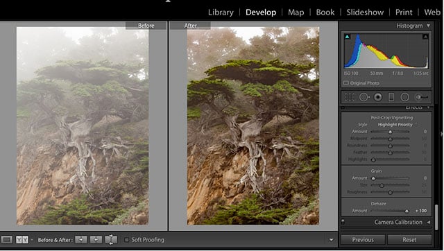 Adobe Camera Raw 6.1 Download Windows