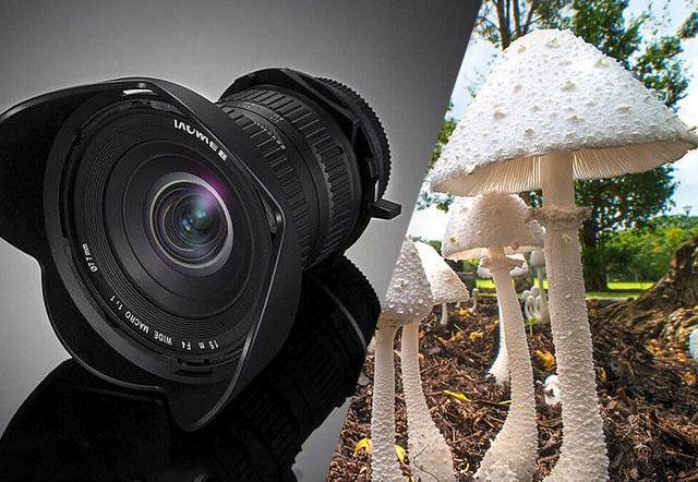 Review: The Venus Optics Laowa 15mm f/4 1:1 Wide Angle Macro Lens