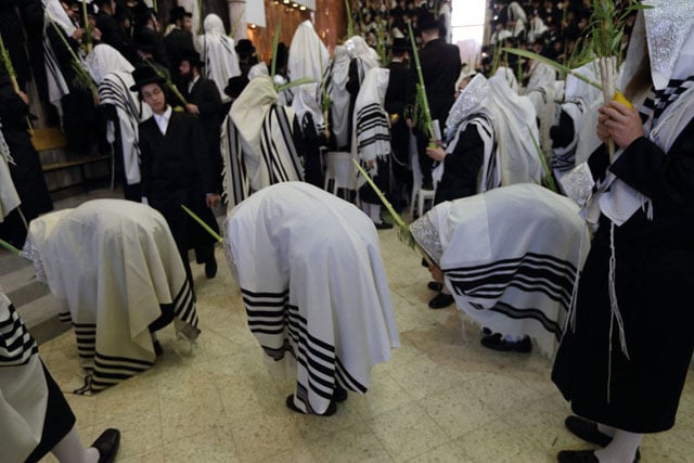 Hasidic Jews praying with four species during Sukkot.