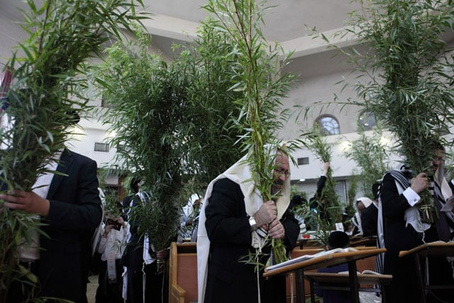 Ultra-Orthodox Jews pray while holding willow tree branches.