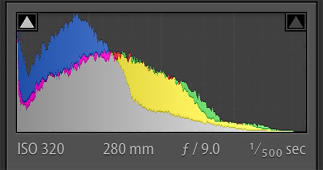 This histogram showcases multiple colors.