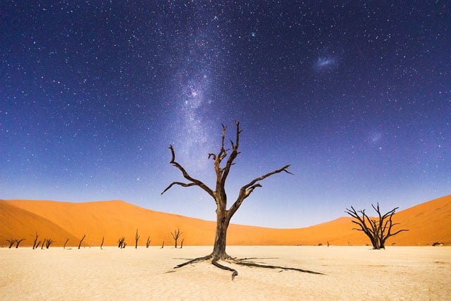 The night before returning to Windhoek, we spent several hours at Deadveli. The moon was bright enough to illuminate the sand dunes in the distance, but the skies were still dark enough to clearly see the milky way and magellanic clouds. Deadveli means "dead marsh." The camelthorn trees are believed to be about 900 years old, but have not decomposed because the environment is so dry.