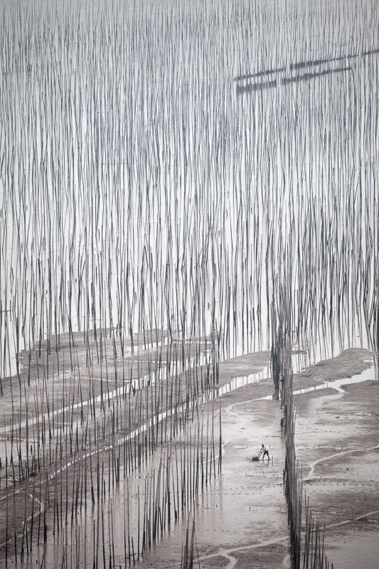 Chinese man using a glider on the mudflats of XiaPu, China