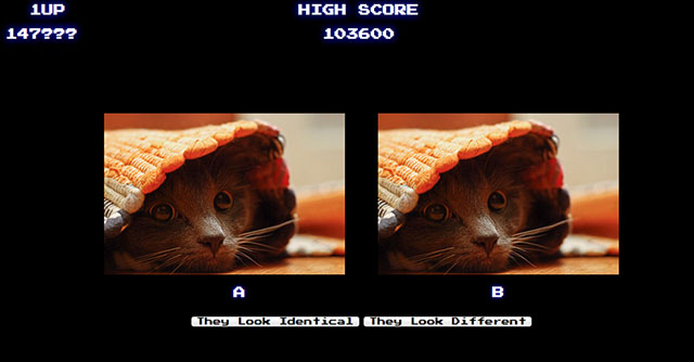 A screenshot of the image comparison game that participants were asked to play.