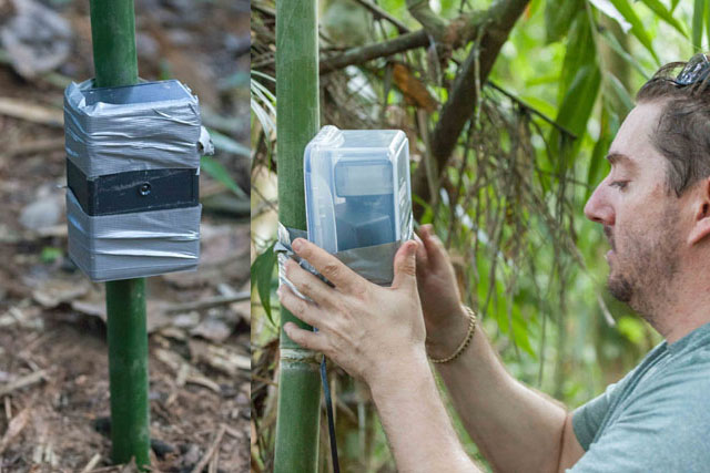 Termites Infested this Photographer's Jungle Camera Trap DSLR