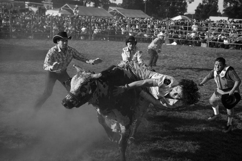 A rider loses his tenuous grip on the bull: the Tierra Caliente Mexican rodeo at the Newburgh Armory. Patricia Goldschmid/Photographers For Hope