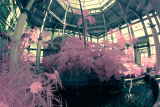 5 Alternative Photography Processes That Challenge Convention and ...
